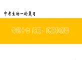 专题17 细菌、真菌和病毒（上课用课件）-【过一轮】2022年中考生物一轮复习课件精讲与习题精练