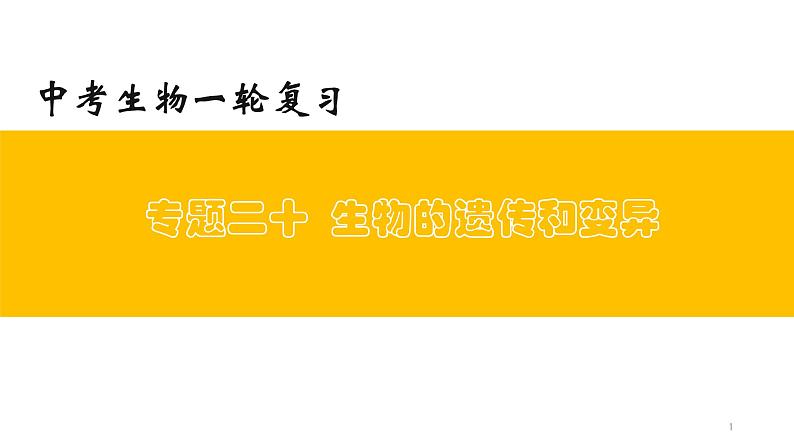 专题20 生物的遗传和变异（上课用课件）-【过一轮】2022年中考生物一轮复习课件精讲与习题精练01