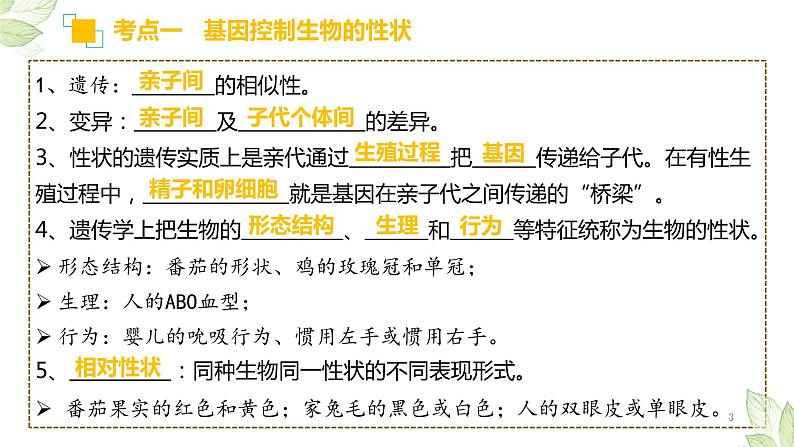 专题20 生物的遗传和变异（上课用课件）-【过一轮】2022年中考生物一轮复习课件精讲与习题精练03