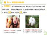 专题20 生物的遗传和变异（上课用课件）-【过一轮】2022年中考生物一轮复习课件精讲与习题精练