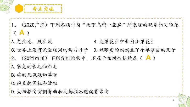 专题20 生物的遗传和变异（上课用课件）-【过一轮】2022年中考生物一轮复习课件精讲与习题精练06