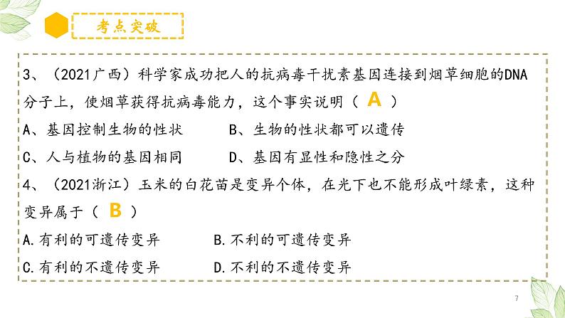 专题20 生物的遗传和变异（上课用课件）-【过一轮】2022年中考生物一轮复习课件精讲与习题精练07