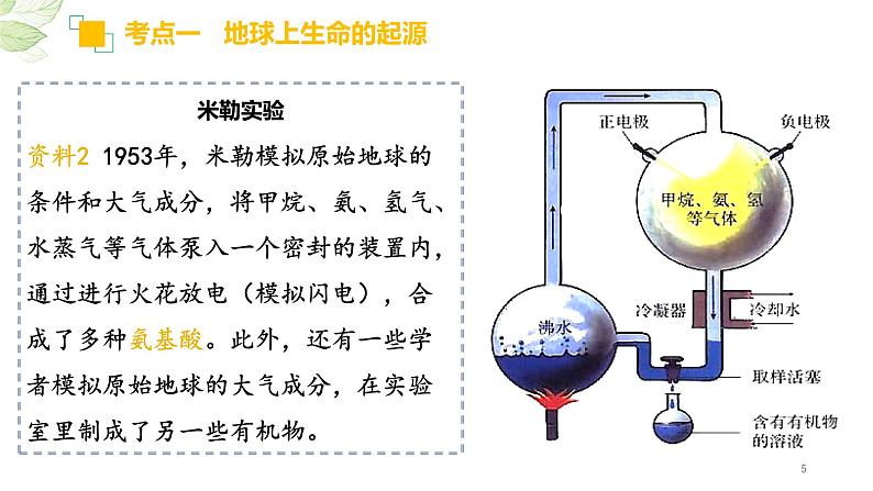 专题21 生命起源和生物进化（上课用课件）-【过一轮】2022年中考生物一轮复习课件精讲与习题精练05