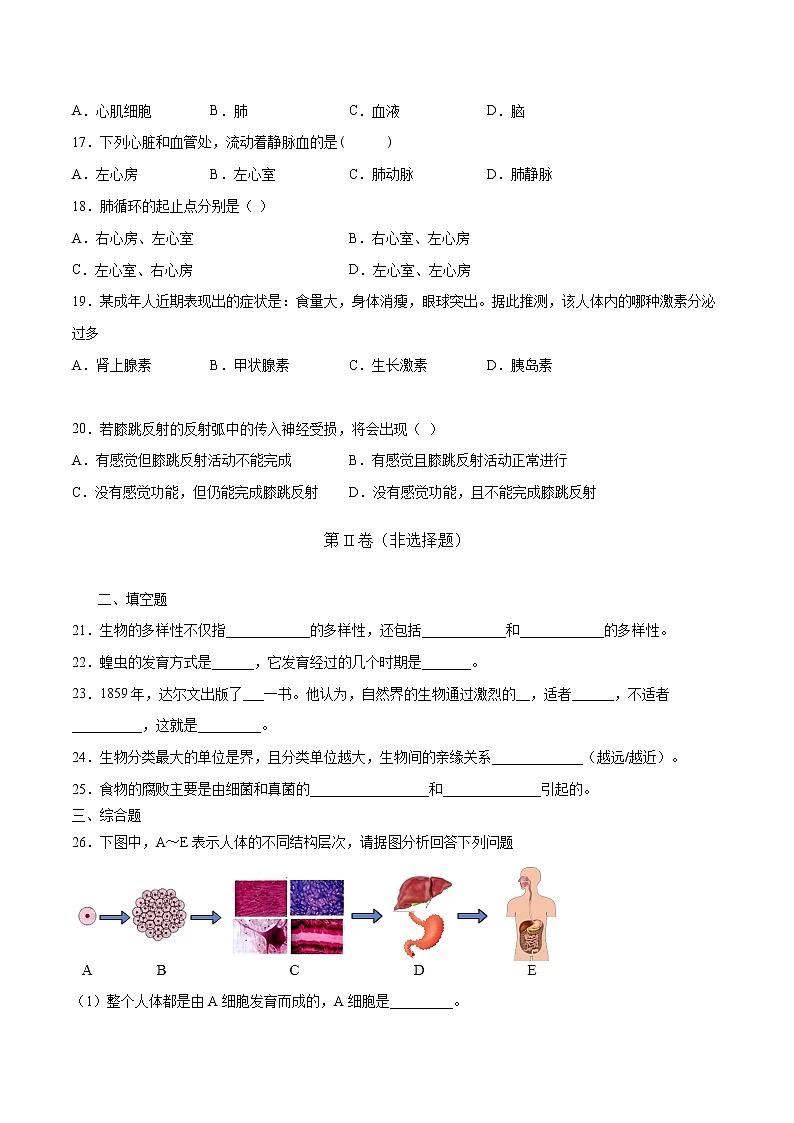 备战2021中考生物全真模拟卷01（人教版，原卷版）第3页