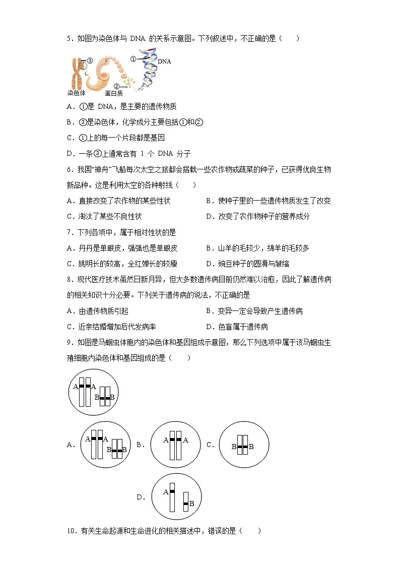 山东省淄博市临淄区2021-2022学年九年级上学期期末生物试题（word版含答案）02