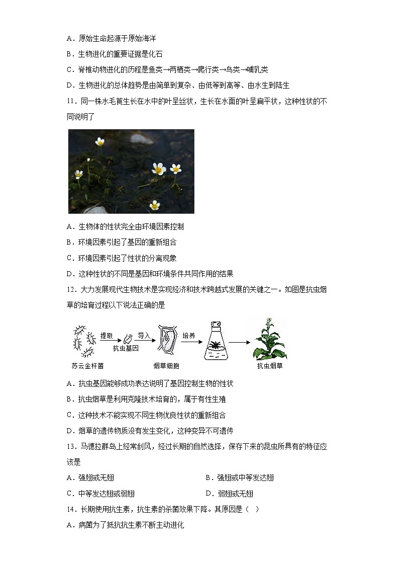 山东省淄博市临淄区2021-2022学年九年级上学期期末生物试题（word版含答案）03