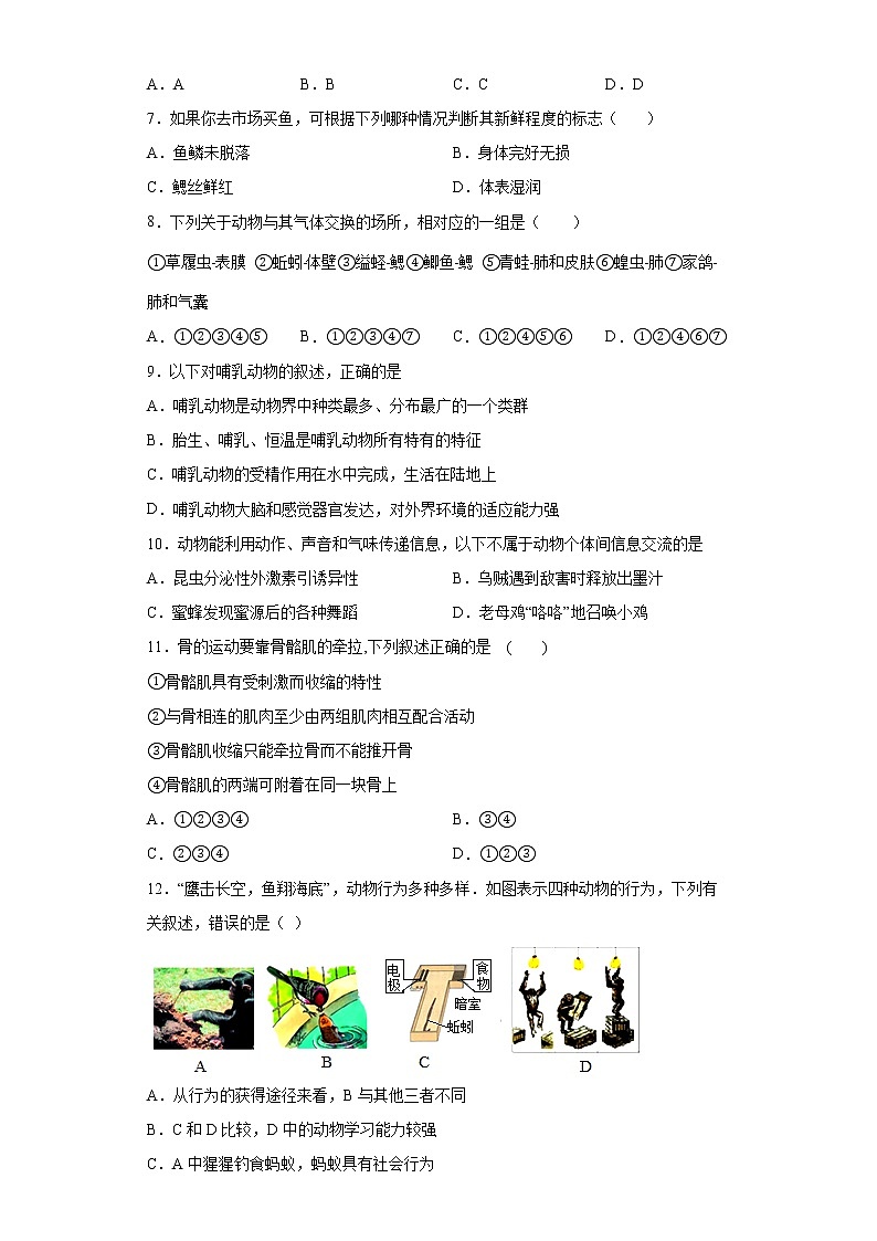 山东省临沂市平邑县2021-2022学年八年级上学期期中生物试题（word版含答案）02