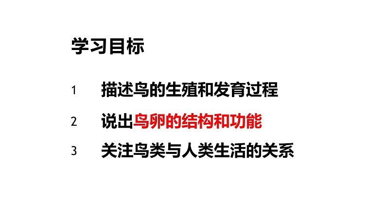 鸟的生殖和发育18张课件PPT第3页