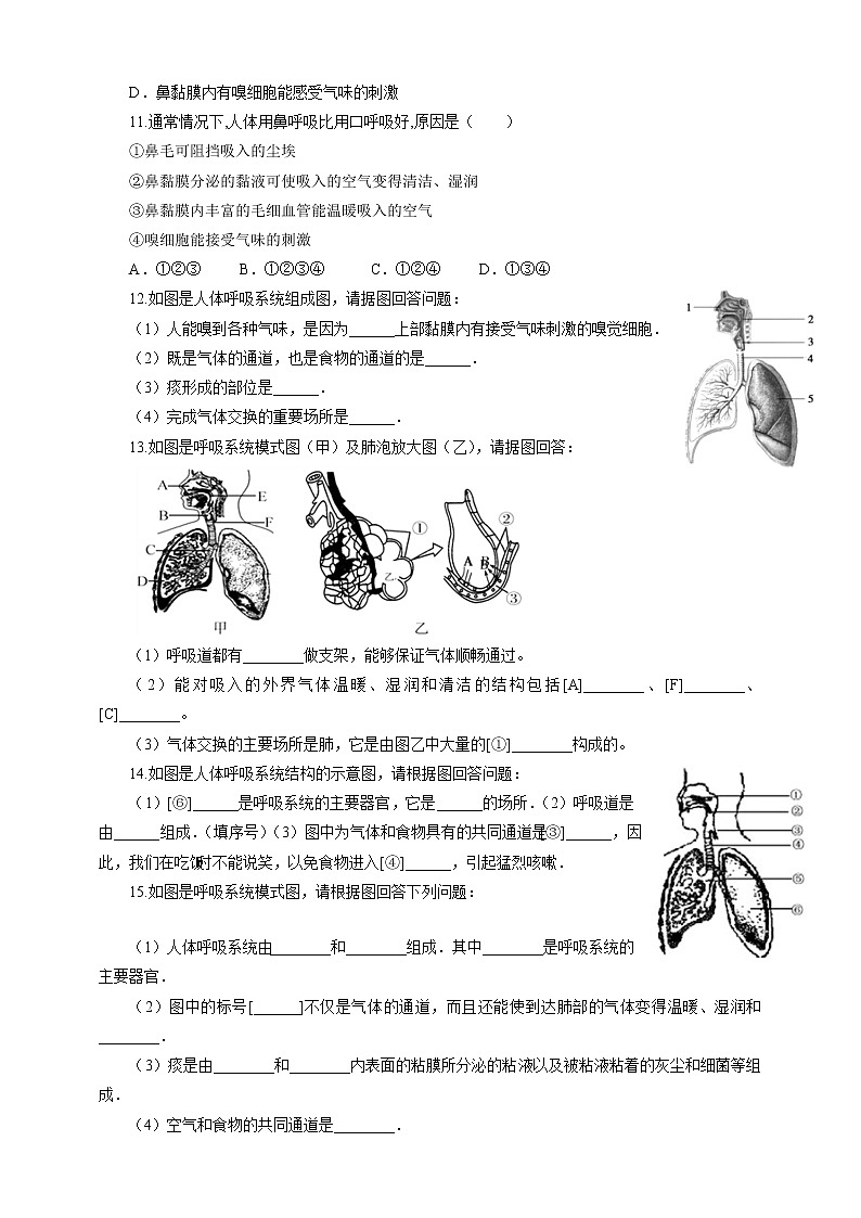 10.2人体细胞获得氧气的过程（1）-练习第2页