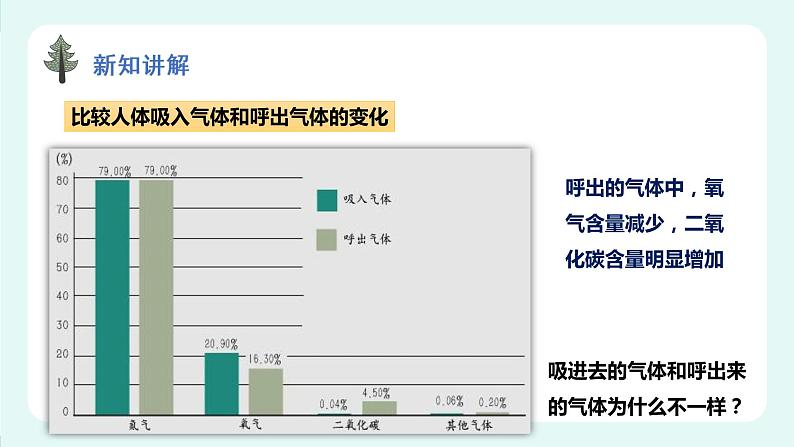 10.2人体获得氧气的过程（2）-课件第2页