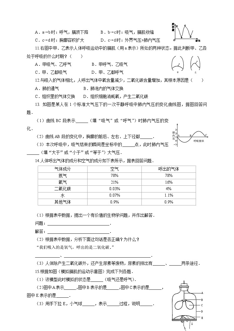 10.2人体获得氧气的过程（2）-练习第2页