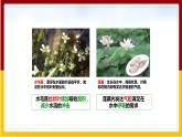 第6单元 生物与环境 第1章 生物与环境的相互作用 第2节 生物对环境的适应和影响课件PPT
