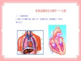 9.2血液循环（2）（课件+教案+练习+学案）