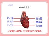 9.2血液循环（2）（课件+教案+练习+学案）