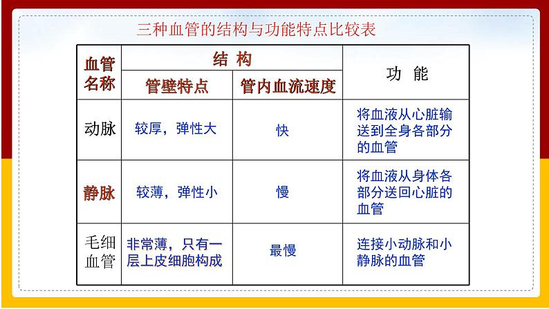 第10章 人体的物质运输和能量供给 第2节 人体的血液循环（1）课件PPT第4页