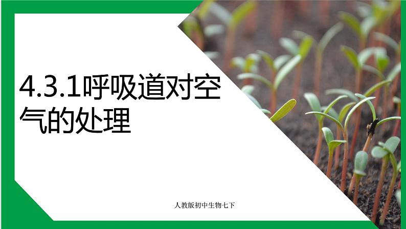 4.3.1 呼吸道对空气的处理 课件第1页