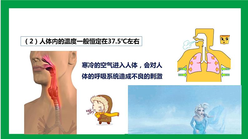 4.3.1 呼吸道对空气的处理 课件第7页