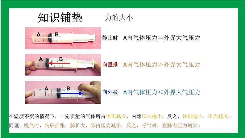 4.3.2发生在肺内的气体交换 课件第5页