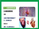 4.4.3输送血液的泵——心脏（课件+教案+练习+导学案）