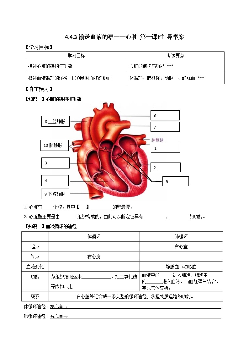 4.4.3输送血液的泵——心脏（课件+教案+练习+导学案）01