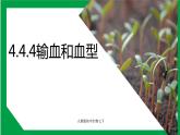 4.4.4输血和血型（课件+教案+练习+导学案）