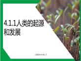 4.1.1人类的起源和发展（课件+教案+练习+导学案）