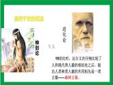 4.1.1人类的起源和发展（课件+教案+练习+导学案）