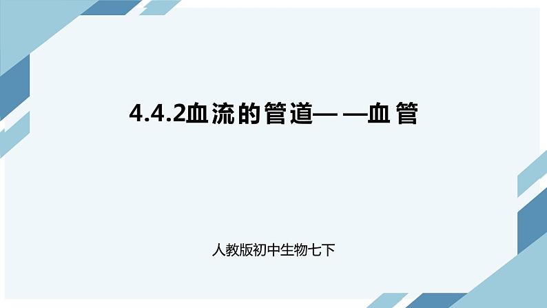 4.4.2血流的管道——血管（课件+教案+练习+导学案）01