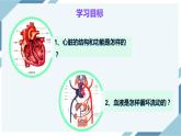 4.4.3输送血液的泵——心脏 第一课时（课件+教案+练习+导学案）