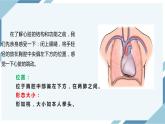 4.4.3输送血液的泵——心脏 第一课时（课件+教案+练习+导学案）