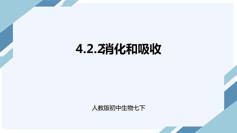 4.2.2消化和吸收（课件+教案+练习+导学案）01