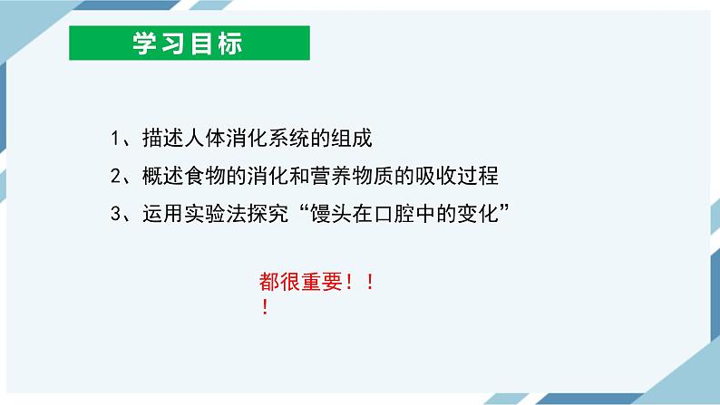 4.2.2消化和吸收（课件+教案+练习+导学案）02