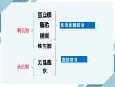 4.2.2消化和吸收（课件+教案+练习+导学案）