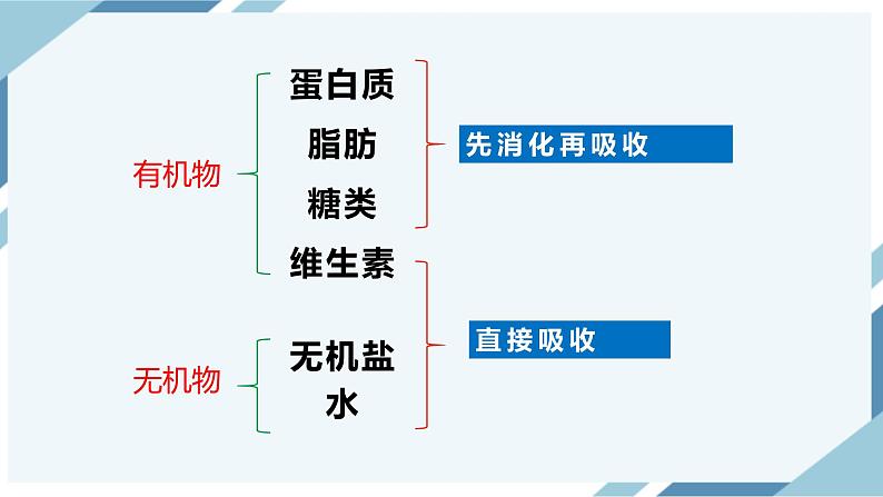 4.2.2消化和吸收（课件+教案+练习+导学案）04