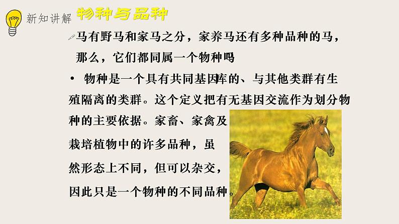 22.1 生物的分类（课件+教案+练习+导学案）07