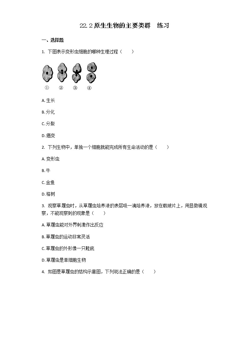 22.2原生生物的主要类群  练习第1页