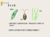 22.2原生生物的主要类群（课件+教案+练习+导学案）