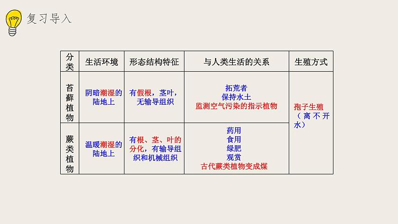 22.3植物的主要类群（课件+教案+练习+导学案）02