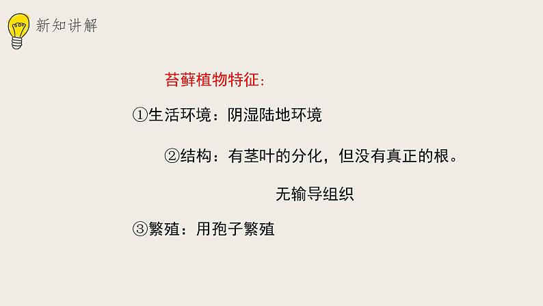 22.3植物的主要类群（课件+教案+练习+导学案）07