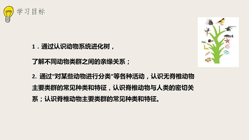 22.4动物的主要类群（课件+教案+练习+导学案）03