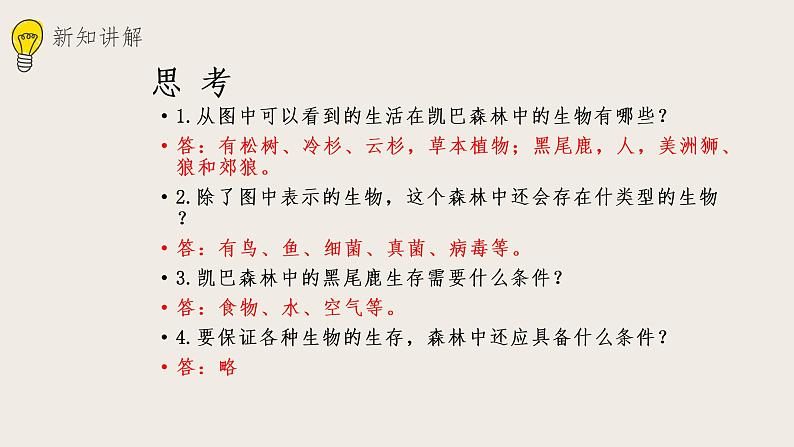 23.2生态系统概述（课件+教案+练习+导学案）03