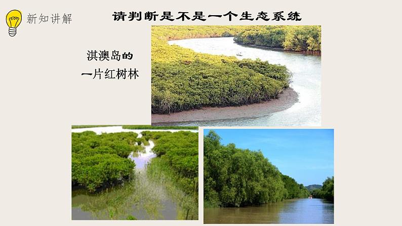23.2生态系统概述（课件+教案+练习+导学案）05