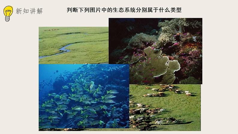 23.2生态系统概述（课件+教案+练习+导学案）07