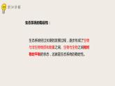 23.4生态系统的稳定性（课件+教案+练习+导学案）