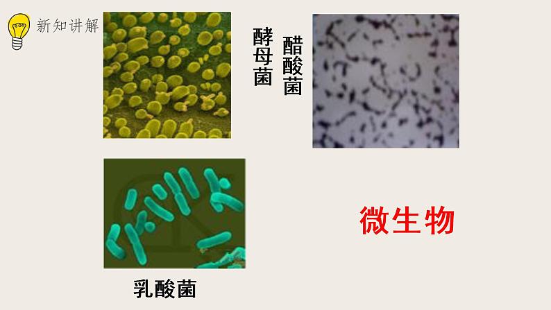 25.1发酵技术（课件+教案+练习+导学案）05