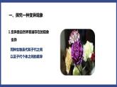 7.2.5 生物的变异（课件+教案+练习+导学案）