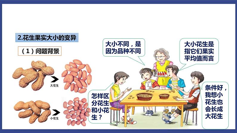 7.2.5 生物的变异（课件+教案+练习+导学案）07