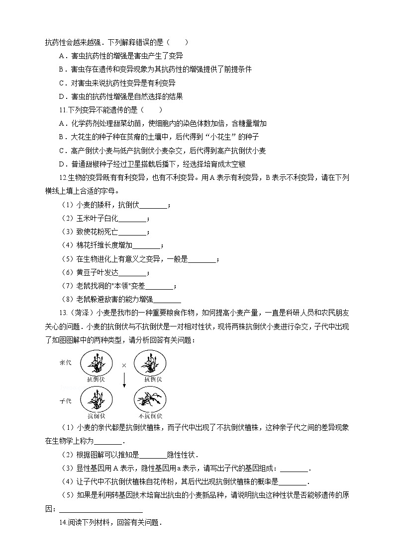 7.2.5 生物的变异（课件+教案+练习+导学案）02