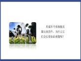 7.2.1 基因控制生物的性状（课件+教案+练习+导学案）