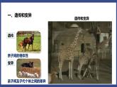 7.2.1 基因控制生物的性状（课件+教案+练习+导学案）